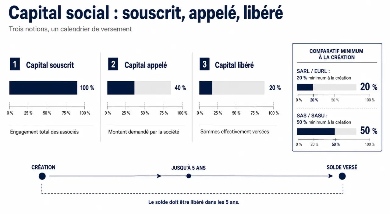 Capital libéré : schéma comparatif des seuils de libération SARL, SAS, EURL et SASU